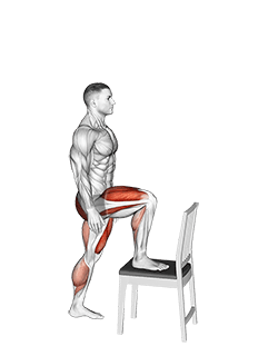 Step-up on Chair exercise demonstration