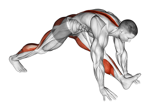 Front Hamstring Stretch exercise demonstration for Hamstrings, and Thighs, Body weight