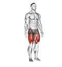 Alternate Heel Touch Side Kick Squat exercise demonstration for Quadriceps, and Thighs, Body weight