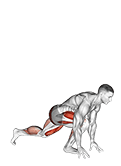 Split Sprinter High Lunge exercise demonstration