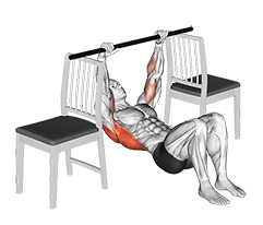 Inverted Row with Bent Knee between Chairs exercise demonstration