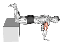 Decline Kneeling Push-up on Box exercise demonstration