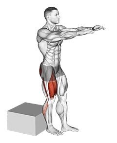 Single Leg Low Box Squat exercise demonstration for Quadriceps, and Thighs, Body weight