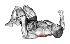 Lying Floor Row with Bent Knee exercise demonstration
