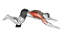 Sliding Floor Pulldown on Towel exercise demonstration for Back, Body weight