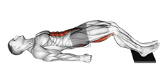 Sliding Floor Bridge Curl on Towel exercise demonstration
