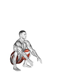 Full Squat Mobility exercise demonstration