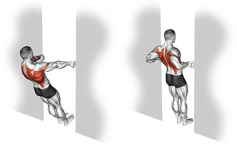Bodyweight Row in Doorway exercise demonstration for Back, Body weight
