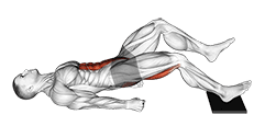 Single Leg Sliding Floor Bridge Curl on Towel exercise demonstration for Hamstrings, and Thighs, Body weight