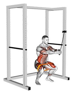 Band horizontal Pallof Press with Resistance Band Squat exercise demonstration