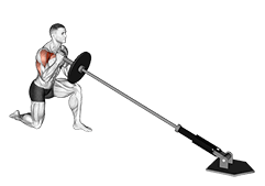 Landmine Kneeling One Arm Shoulder Press exercise demonstration