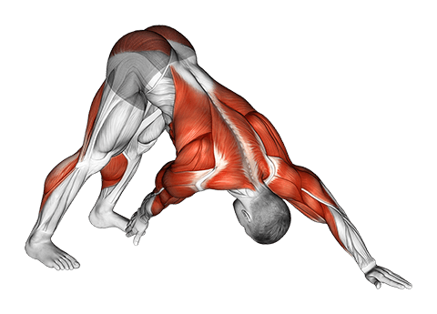 Downward Facing Dog Toe Touch exercise demonstration for Thighs, Body weight