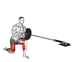 Landmine Stand Up High Knee exercise demonstration for Thighs, Leverage machine