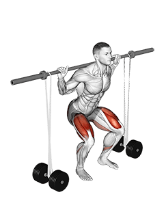 Barbell Banded Squat exercise demonstration for Quadriceps, and Thighs, Barbell