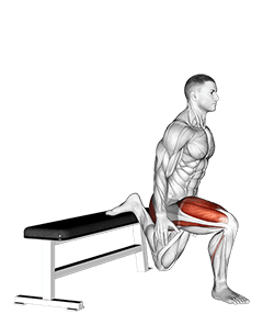 Bulgarian Split Squat exercise demonstration