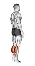 Bodyweight Standing Pulse Calf Raise exercise demonstration
