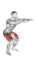 Bodyweight Pulse Squat exercise demonstration