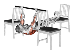 Elevanted Inverted Underhand Grip Row between 3 Chairs exercise demonstration