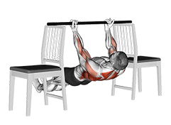 Inverted Underhand Grip Row between Chairs exercise demonstration