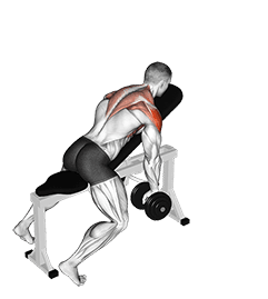 Dumbbell Incline Y-Raise exercise demonstration for Shoulders, Dumbbell