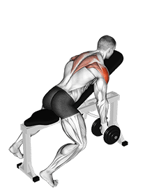 Dumbbell Incline T-Raise exercise demonstration