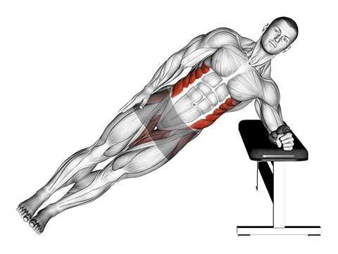 Bodyweight Incline Side Plank exercise demonstration