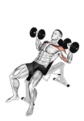 Dumbbell Incline Alternate Press exercise demonstration