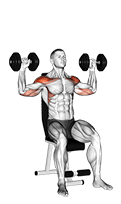 Dumbbell Seated Alternate Shoulder exercise demonstration