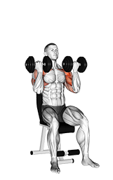 Dumbbell Seated Biceps Curl to Shoulder Press exercise demonstration for Biceps, and Upper Arms, Dumbbell