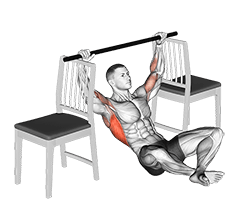 Seated Pull-up between Chairs exercise demonstration
