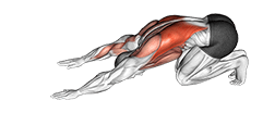 Power Push Aways exercise demonstration for Back, and Chest, Body weight