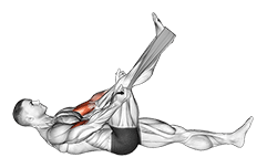 Lying Biceps Curl with Towel exercise demonstration for Biceps, and Upper Arms, Weighted