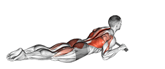 Superman Row with Towel exercise demonstration for Back, and Hips, Body weight