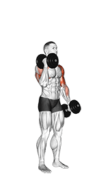 Dumbbell Standing Alternate Hammer Curl and Press exercise demonstration for Biceps, and Upper Arms, Dumbbell