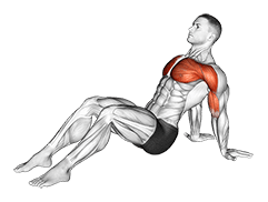 Seated Shoulder Flexor Depresor Retractor Stretch Bent Knee exercise demonstration for Upper Arms, Body weight