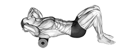 Roll Upper Back exercise demonstration for Back, Roll