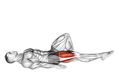 Single Leg Bridge with Hip Flexion exercise demonstration for Hips, Body weight