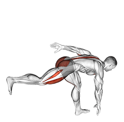 Single Leg Deadlift with Knee Lift exercise demonstration for Quadriceps, and Thighs, Body weight