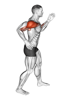 Quickly Swing Arms in place exercise demonstration for Shoulders, Body weight