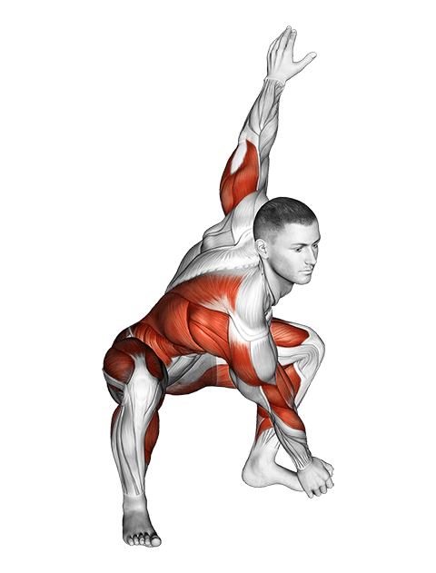 Sitting Sumo Right Twist Stretch exercise demonstration for Thighs, Body weight