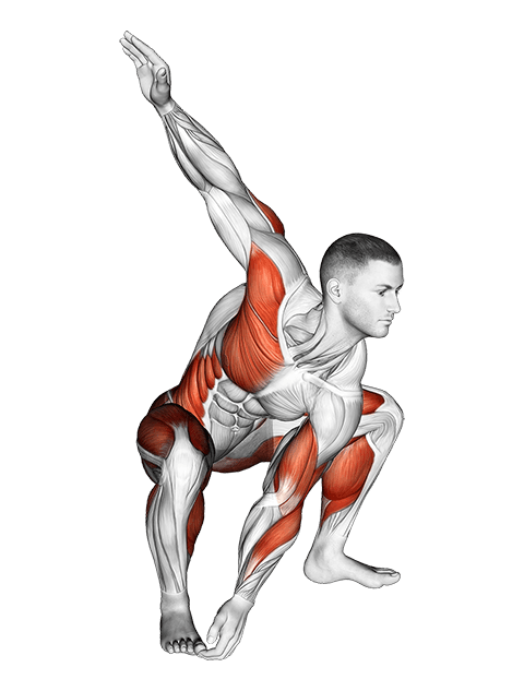 Sitting Sumo Left Twist Stretch exercise demonstration for Thighs, Body weight