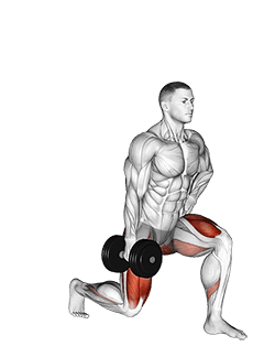 Dumbbell Contralateral Forward Lunge exercise demonstration for Quadriceps, and Thighs, Dumbbell