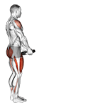 Weighted Lunge with Swing exercise demonstration