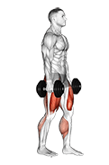 Dumbbell RDL Death March exercise demonstration for Hips, Dumbbell