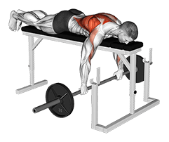 Barbell Lying Row on Rack exercise demonstration