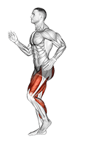 Short Stride Run exercise demonstration for Cardio, Body weight