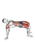 Reverse Plank with Leg Lift exercise demonstration