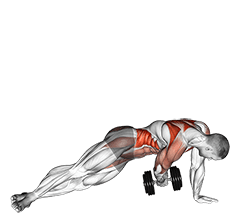 Dumbbell Side Plank with Rear Fly exercise demonstration for Waist, Dumbbell