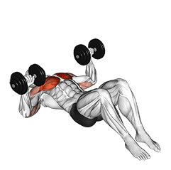 Dumbbell Lying on Floor Chest Press exercise demonstration for Chest, Dumbbell