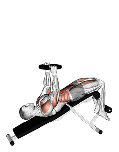 Weighted Decline Sit-up exercise demonstration
